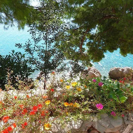 The Big Calm Lägenhet